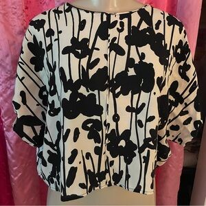 Zara Basic Black and Ecru White Floral Top